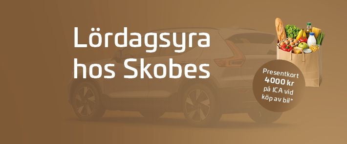 Lördagsyra hos Skobes