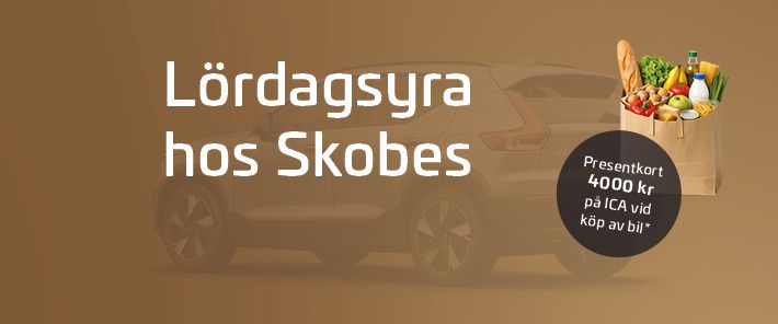Lördagsyra hos Skobes
